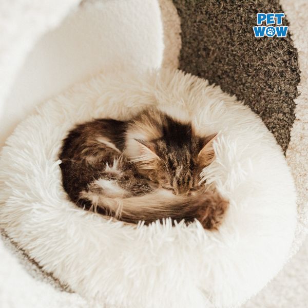 Ngủ tư thế xoắn não khó hiểu