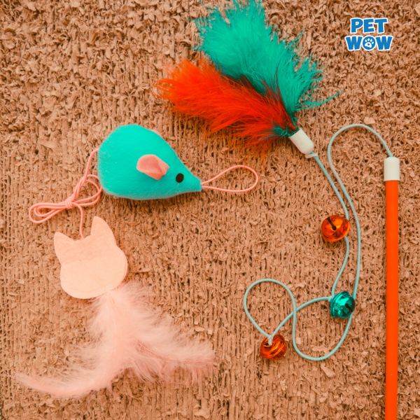 Gợi ý món đồ chơi cho mèo cưng của bạn