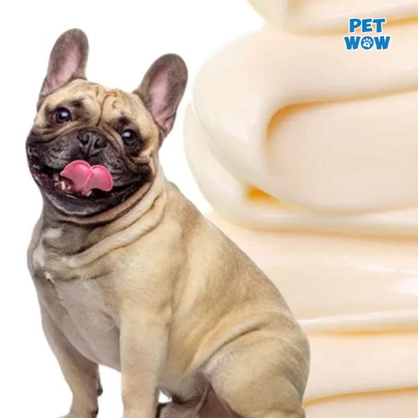 Chó ăn Mayonnaise được không?