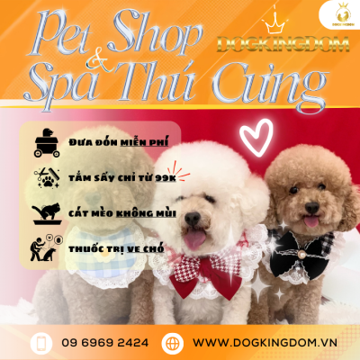 Pet shop&Spa thú cưng Pet WOW chuyên: cắt tỉa lông chó và thức ăn cho chó