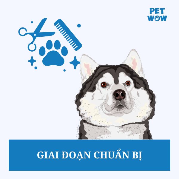 Giai đoạn chuẩn bị