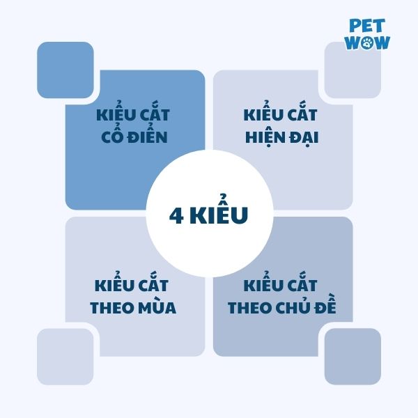 4 kiểu lông chó Corgi phổ biến và độc đáo 2025