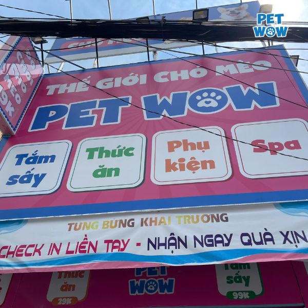 PET WOW - Dịch vụ Spa thú cưng uy tín, chuyên nghiệp