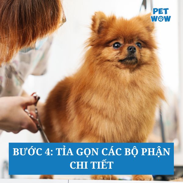 Bước 4: Tỉa gọn các bộ phận chi tiết