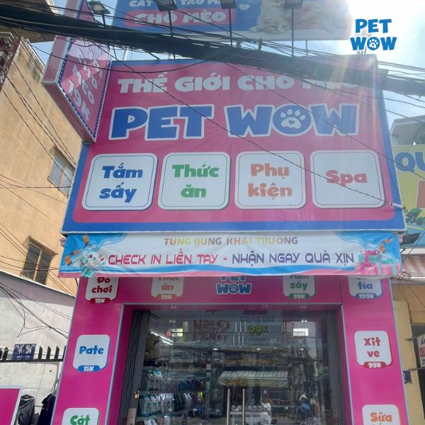 Pet Wow tự hào là đơn vị cung cấp dịch vụ cắt tỉa lông mèo chuyên nghiệp tại TP.HCM