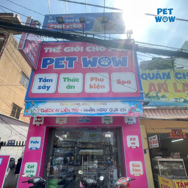 Ưu điểm khi chọn Spa Pet Wow cho thú cưng tại TPHCM