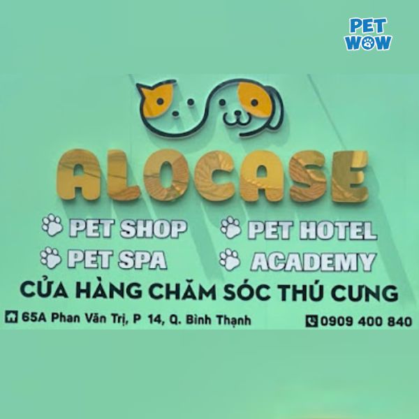 Alocase- Dịch vụ cắt tỉa lông chó mèo tại nhà