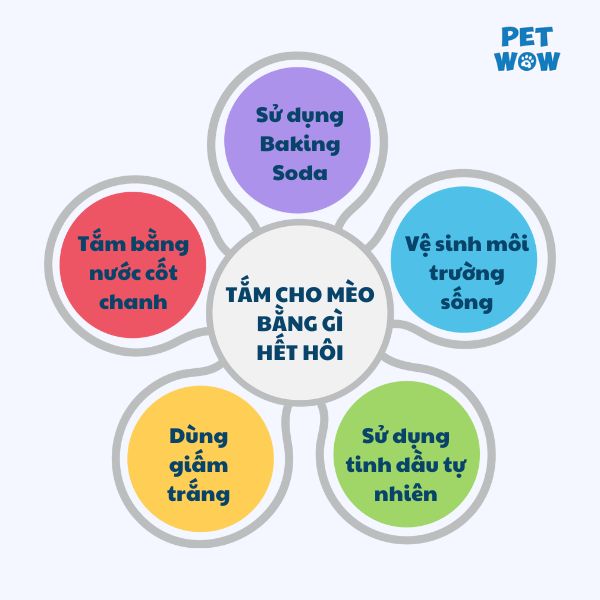 5 cách để cho chó hết hôi