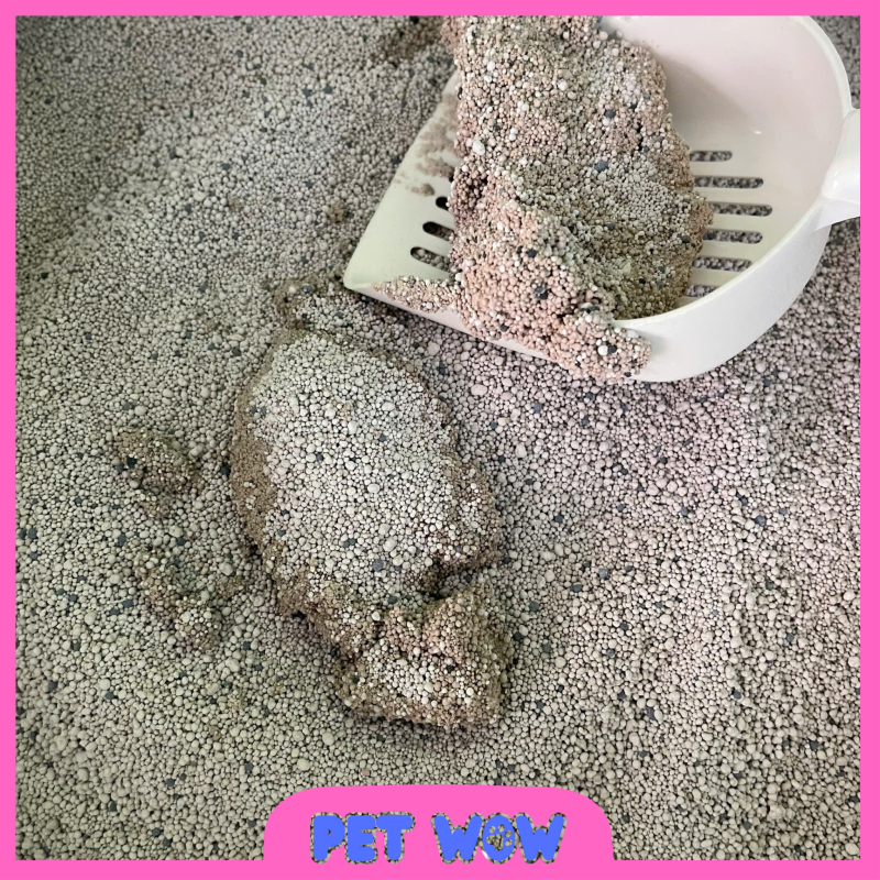 Cát Mèo Siêu Vón Cục