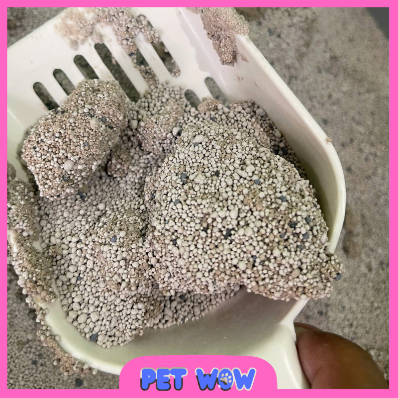 Cát mèo Vón Cục Siêu To