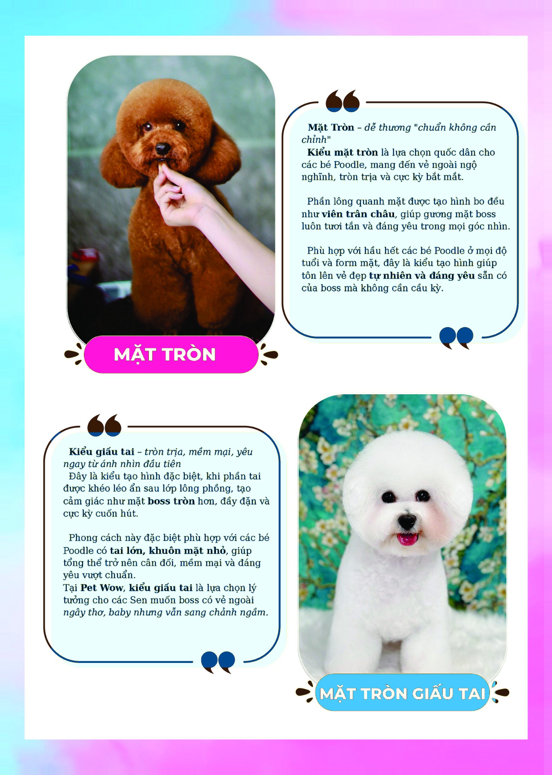 Kiểu mặt tròn giấu tai cho chó