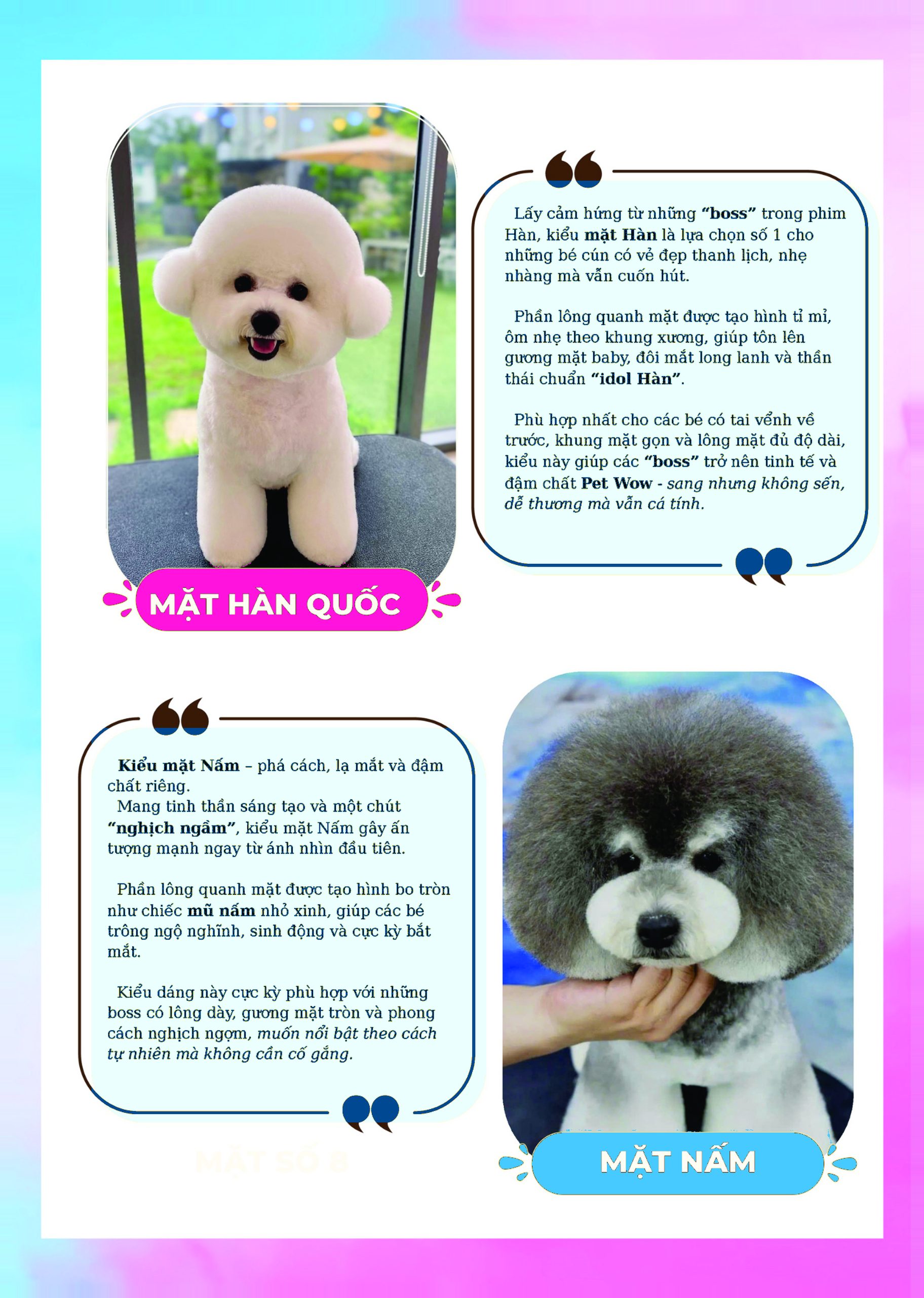 Kiểu mặt Hàn Quốc mặt nấm cho chó