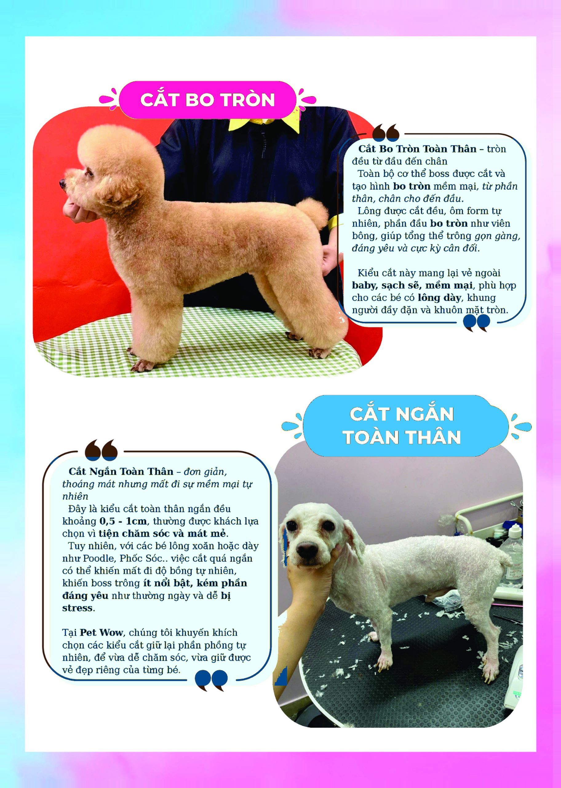 Kiểu cắt bo tròn cắt ngắn toàn thân