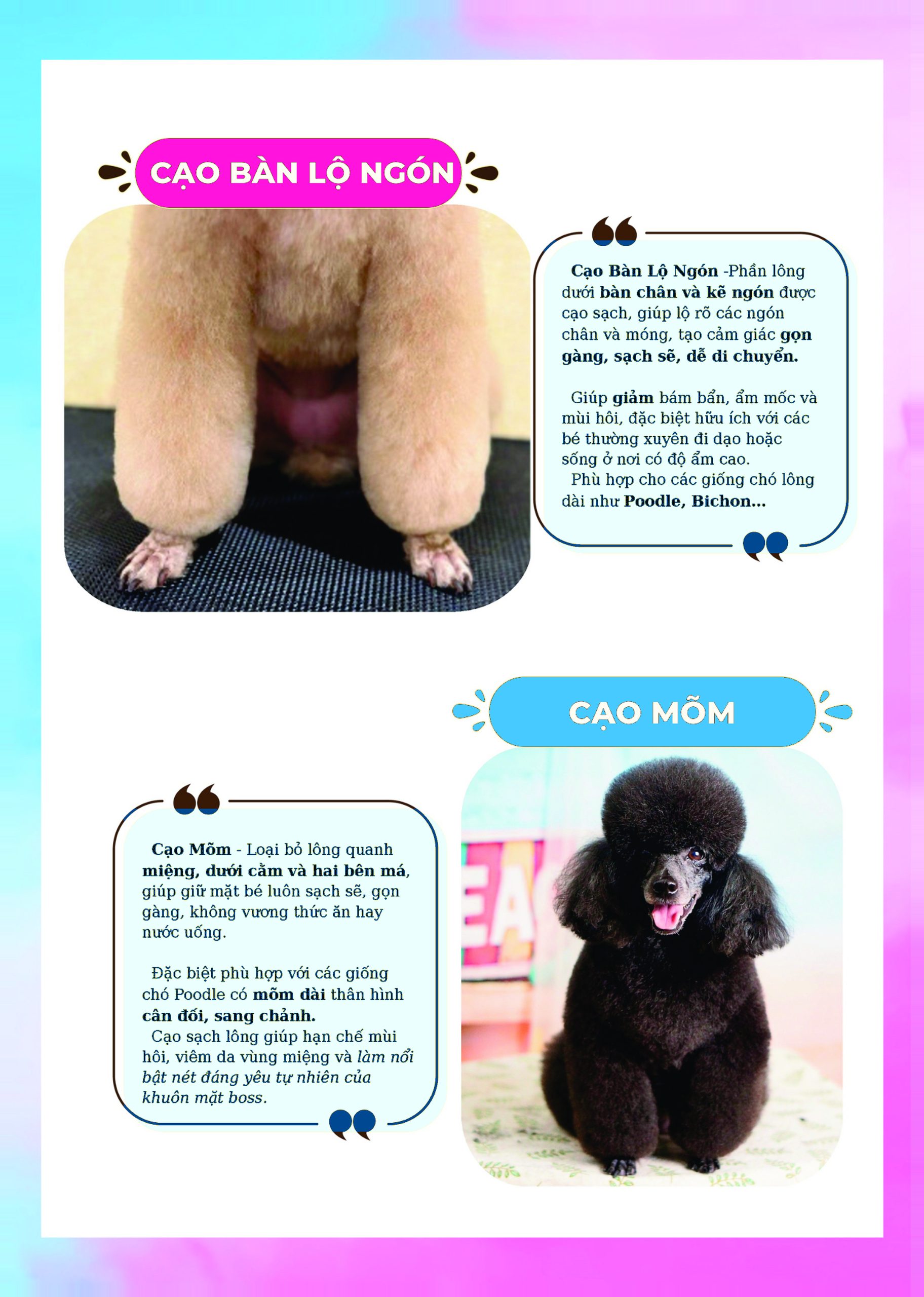 Kiểu cắt lộ ngón cạo mõm cho chó
