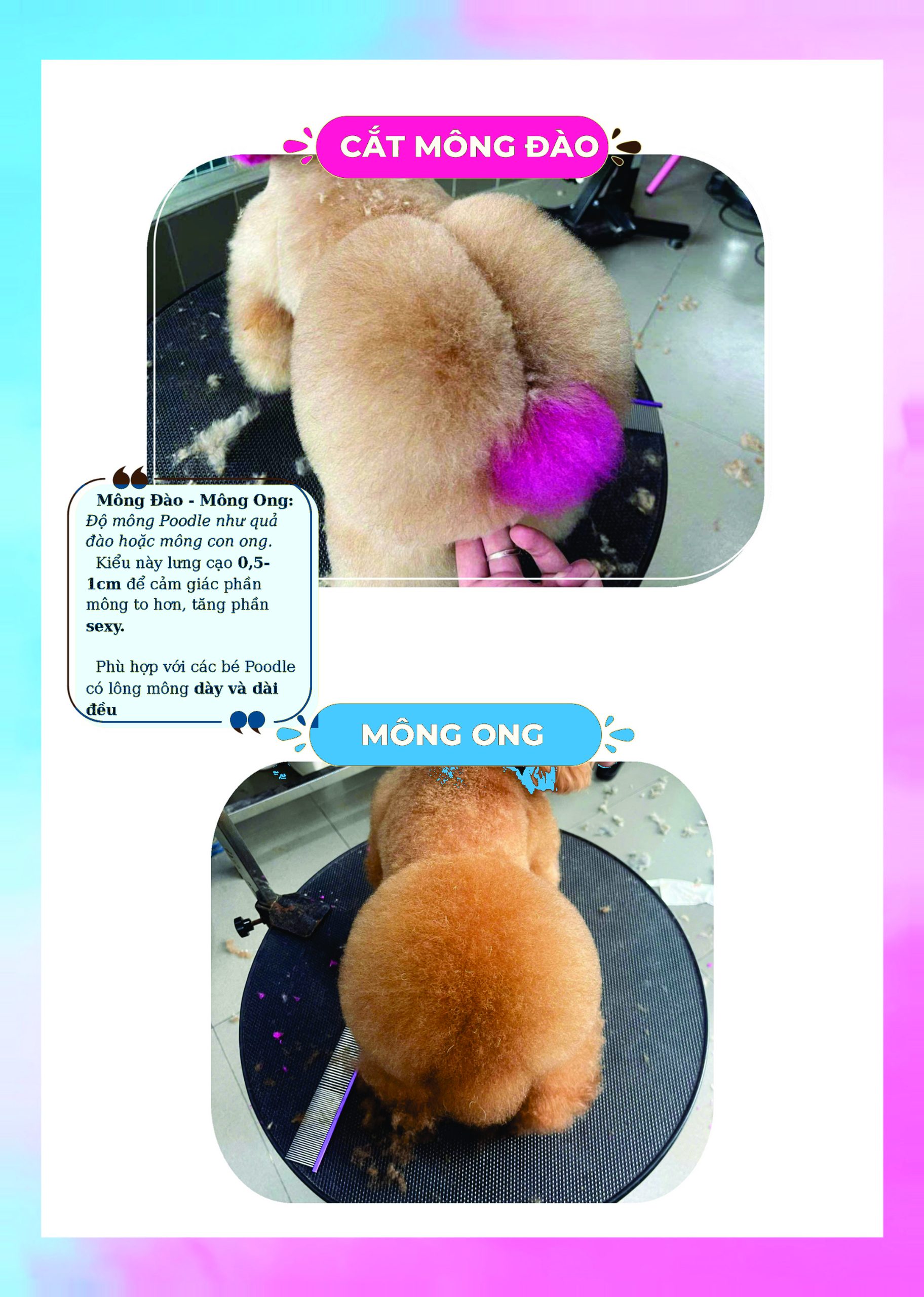 Kiểu cắt mông đào mông ong